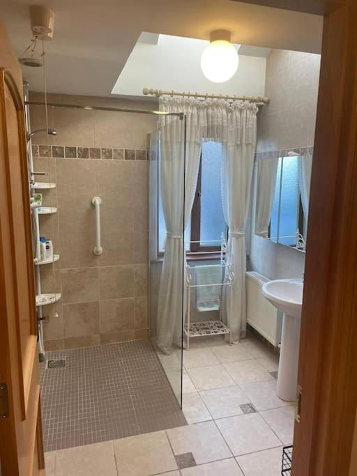 Borodino Studio Apartment Enniscorthy Exteriér fotografie