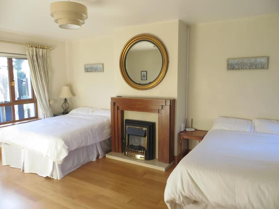 Borodino Studio Apartment Enniscorthy Exteriér fotografie