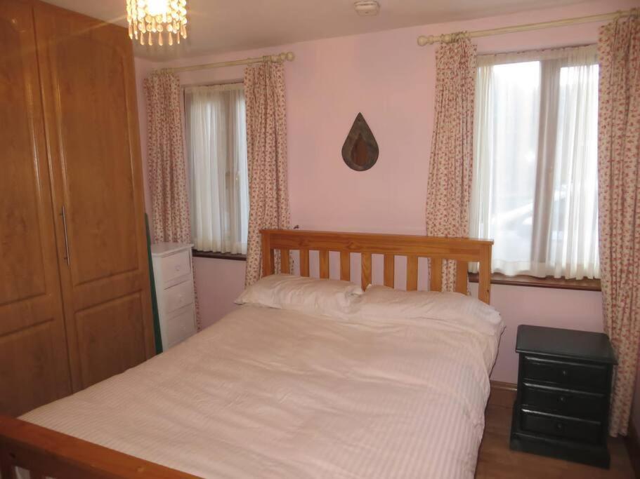 Borodino Studio Apartment Enniscorthy Exteriér fotografie